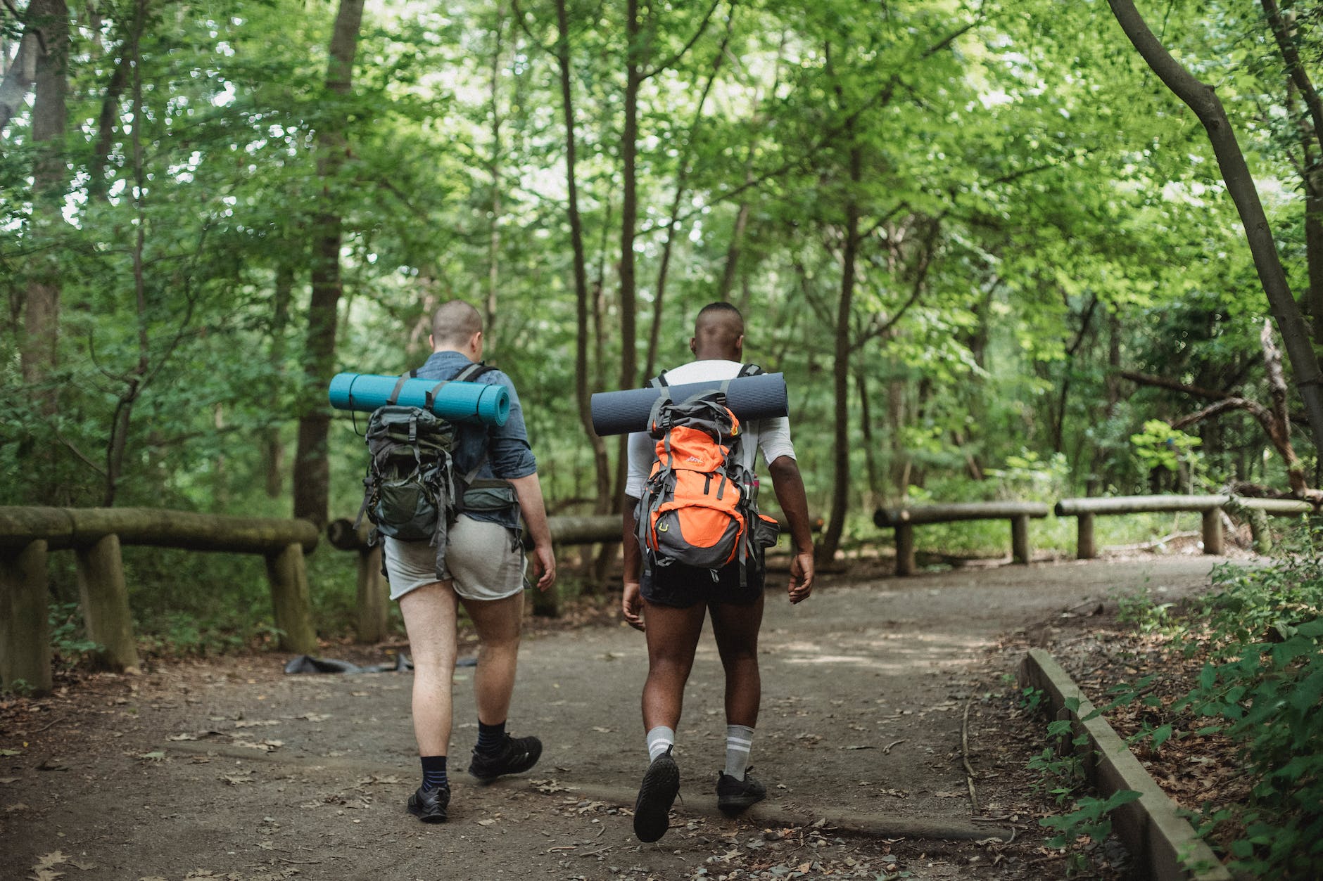 Discovering the Art of Hiking and Trekking: Unwind, Explore, and Stay Safe